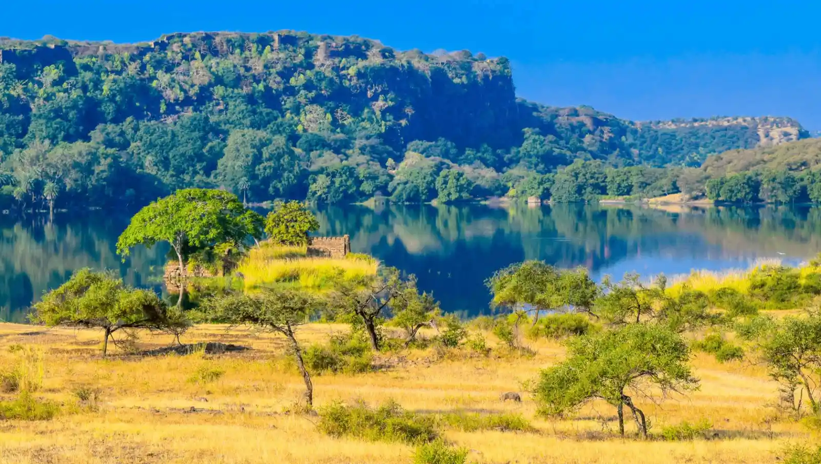 Jim Corbett National Park